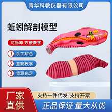 ������ģ�����̌W��ʾ�x���̾߭h������΢����Ŵ�ģ��