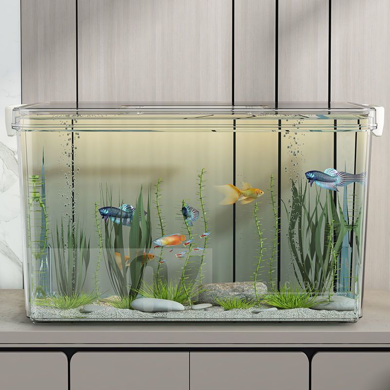 高透PET鱼缸生态箱高清金鱼缸饲养水族乌龟仓鼠生态造景收纳箱子-阿里巴巴