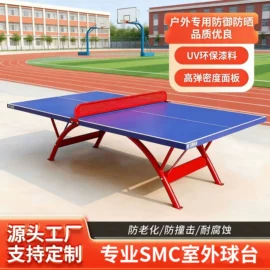 篮球架;体操/运动垫;乒乓球台