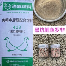 ��~��C�~�D������w��ɢ�b�_�����~�ڿӸC����D