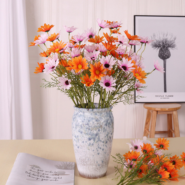 Simulation 5 Dutch chrysanthemums chamomile gyosenic daisy Posal…