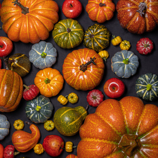 Simulation Pumpkin Fruit and Vegetable Model Christmas Halloween Shopping Mall Window Scene Display Decorative Ornaments Photo Props