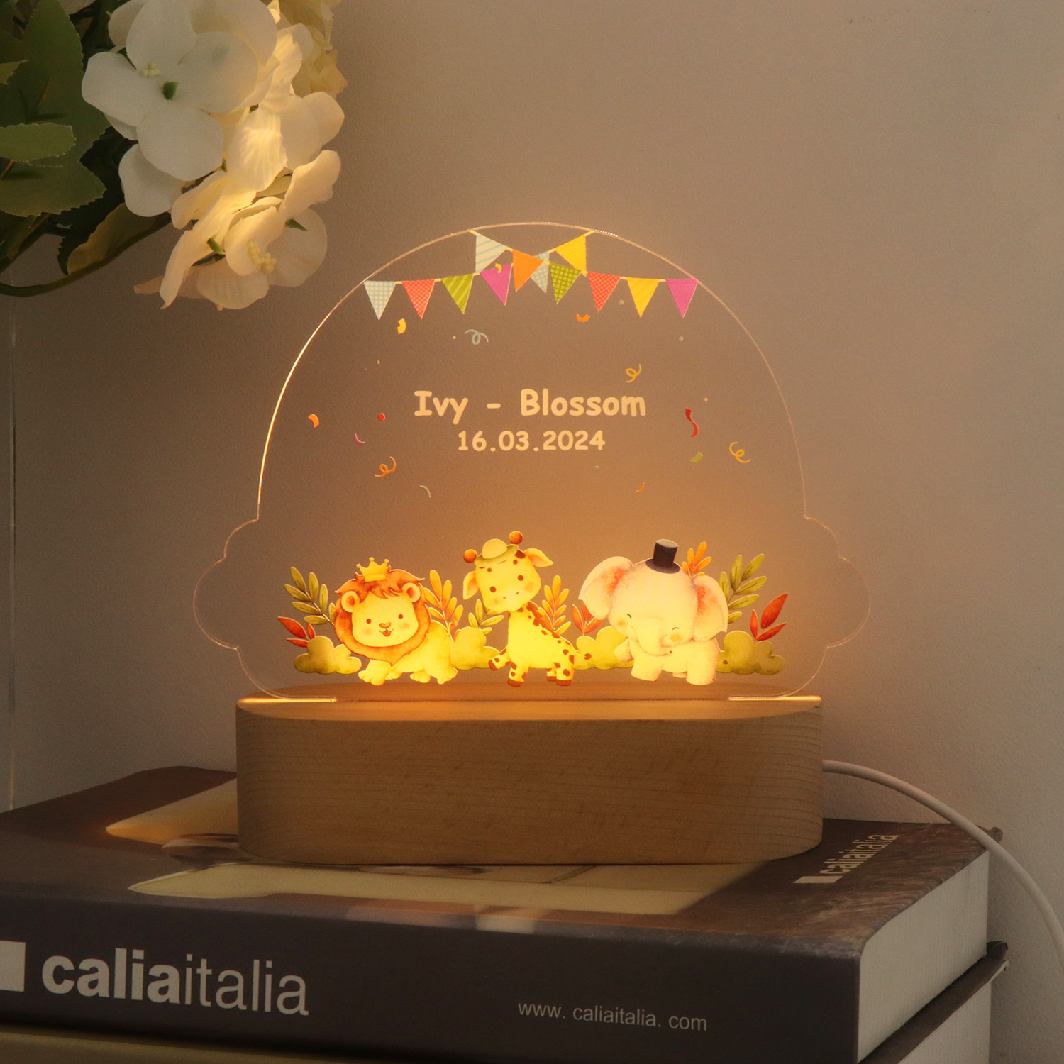 JC681 D (이름 없음)