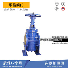 厂家直销 X43J-16C 轨道式旋塞阀 将军阀