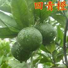 ��Ʒ���ڽ��A����������Կ�ȴ������� ����� ��Ȏ�����������