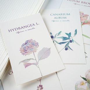 Letter lover Mirabell garden postcard Nordic simple style hand-painted flower artistic greeting card message card