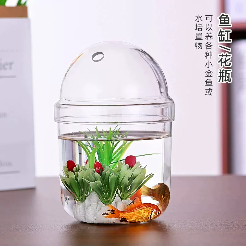 新款波波瓶水培植物瓶桌面摆件懒人花瓶大口径小鱼缸透明花瓶批发