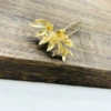 KC gold