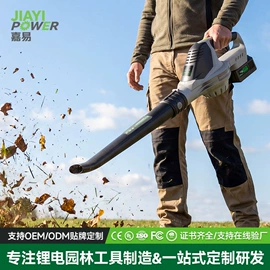 电链锯;篱笆剪;电动吹风机