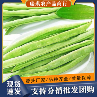 ����ļ������r�Fժ���ǟo��ǖ|���S�𹴶��Ǯ������r�r���߲�