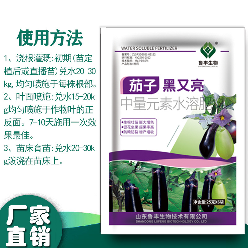 Lufeng eggplants are black and bright