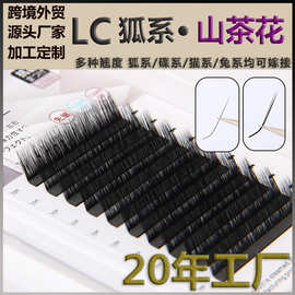 LC型狐系睫毛嫁接泰式L型广角UC型漫画山茶花不散根美睫店