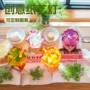 儿童节日手提手工灯笼
