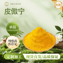 Ƥ����  ��ɭ���� ���yƷԭ�� �F؛���� ���@�} 1g�b