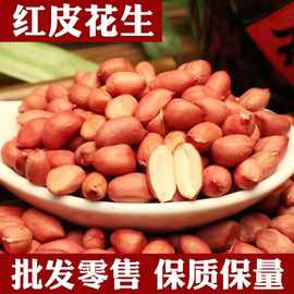 现货供应红皮花生米东北四粒红农家新货粒花生粗粮25kg高油量花生