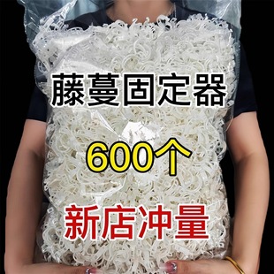 �S�����t����������֦�l�̶����Gֲ�߲��������������@��δ��