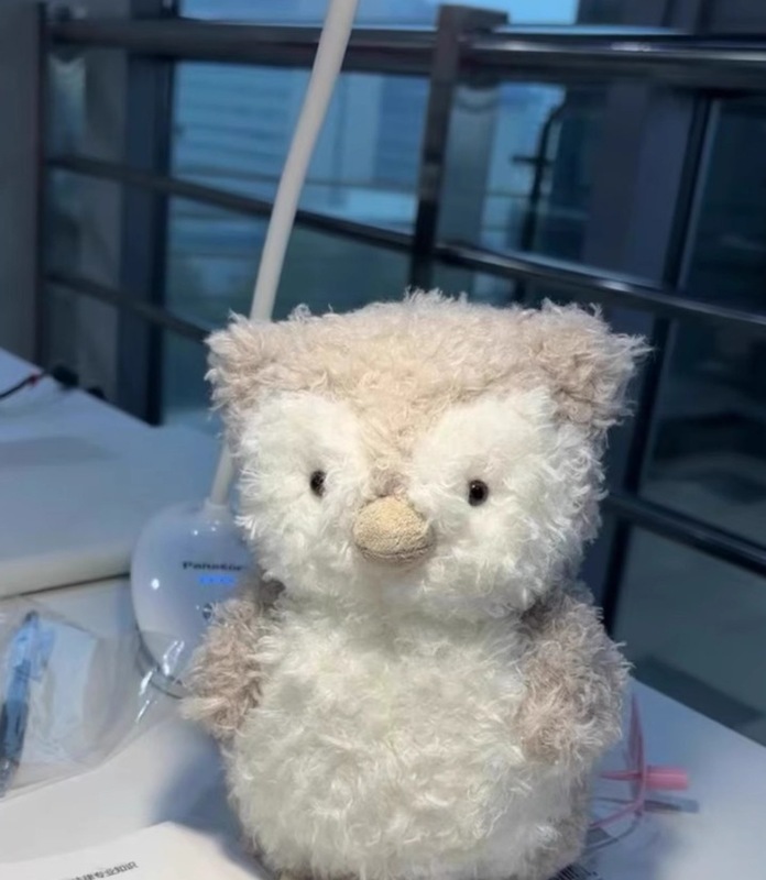 ぬいぐるみ、かわいい人形、動物の形、母親と赤ちゃんへのギフト、かわいい大きなおもちゃのギフトのコレクション|undefined