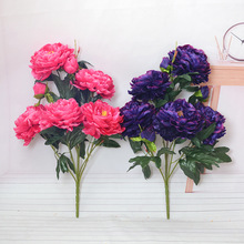 滨 ʽҾ߿͏dFĵ [ŻYT̨bF5^3ĵ