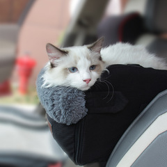 ペットの車載マット車載ペットの巣冬の保温猫犬車の神器自動車の中で安全シートの卸売りを制御します。
