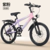Bike shifter (brake handle), fuchsia shock-absorbing bike spokes disc brake, headlights