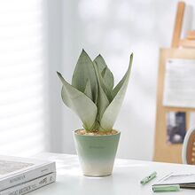 ƤmkBͺֲﻢβm͏dߙn[