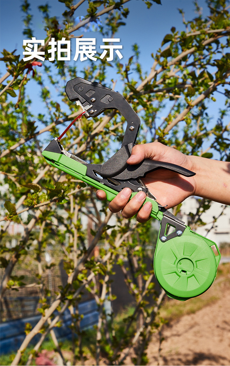 O1CN01KwbWkI1bIU5WaQfiY_!!9402