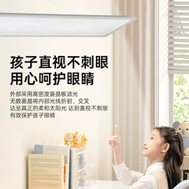 其他专用灯具;LED面板灯;阅读台灯