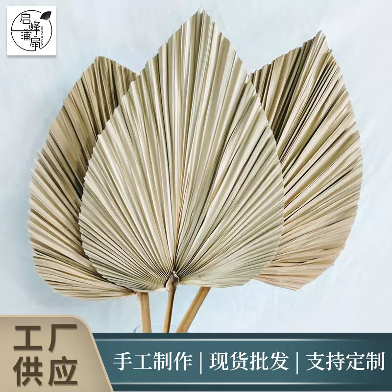 源头厂家蒲葵干花宽30高40cm心形大号田园风婚庆造景摆放陈列适用