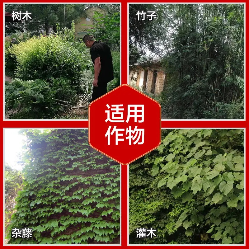 微信图片_202601261740324