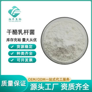 干酪乳杆菌100亿cfu/g乳酸菌冻干粉 干酪乳酸菌冻干粉食品级 现货