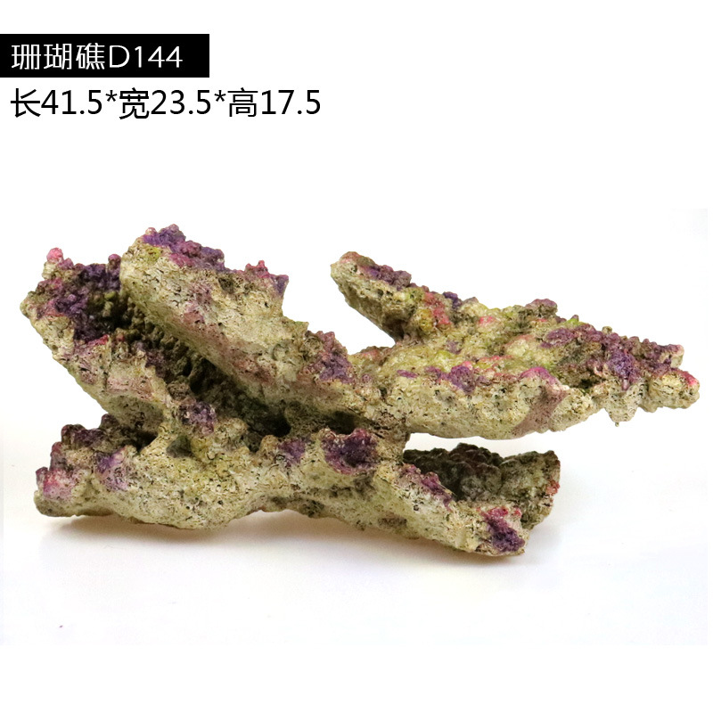 珊瑚144