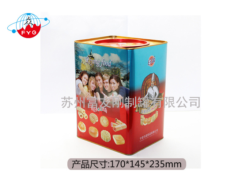 厂家直销 马口铁 长方形铁罐 饼干铁盒 精品推荐