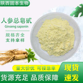 人参皂甙 80%人参皂苷粉 人参提取物 第三方质检 规格齐全100g/袋