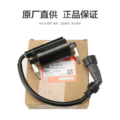Alovlandırıcı (Vozduşka/İqniter) — high voltage cap igniter