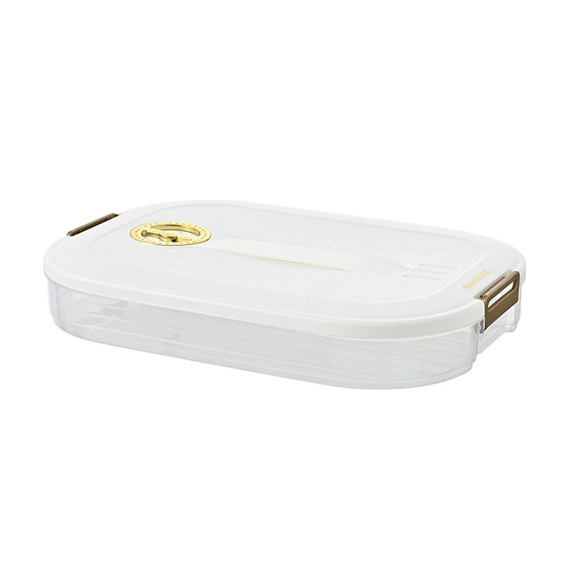 Multi-layer Dumpling Storage Box, Large Capacity with Timer, Portable Refrigerator-safe (1–4 Layers)