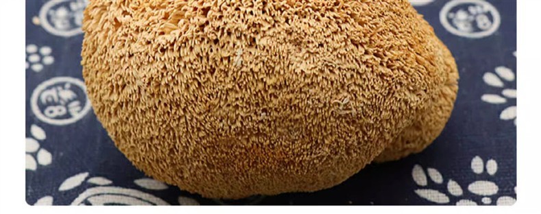 Dried Lion's Mane Mushroom Hou Tou Gu Hericium erinaceus Whole Dried Culinary Herb 500g quality and texture