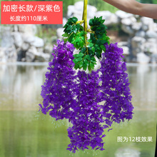 ���ٻ��䴮�ٻ����}�l�b�������҃Ȼ�cͥԺ�b�ֲ������