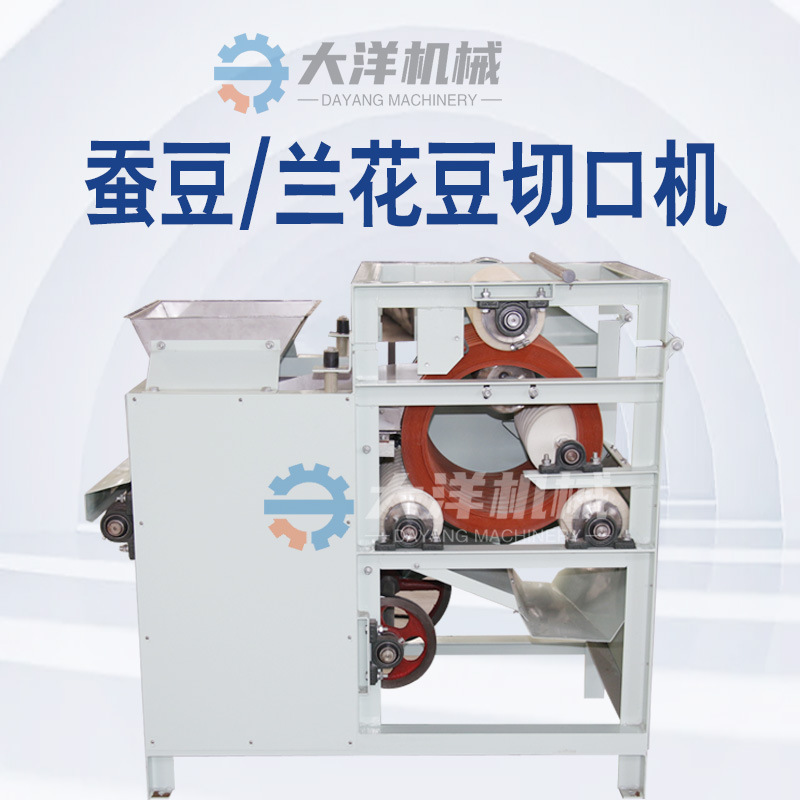 蚕豆开口机新型蚕豆切口设备兰花豆割口机大洋供应蚕豆划口机器