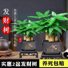 ؔԴLLUlֲؔ҃kҺBGֲˮ͏dС辰