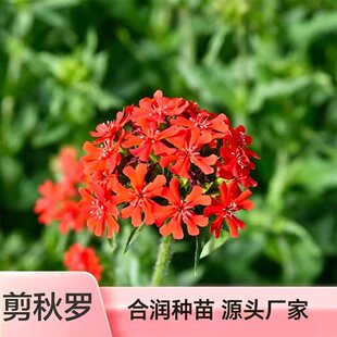 ����ֱ�������_���N �ļ����N�_���G�� �̨ͥԺ���ԾG���^�p����