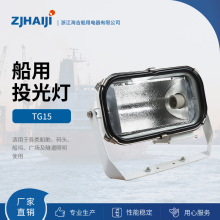厂家直销 led投光灯防水 船用灯具 不锈钢投光灯TG15 220V/110V