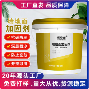 ���̵ع̽��愩�������B͸��ë�ӹ̄�ˮ��������̎�����愩