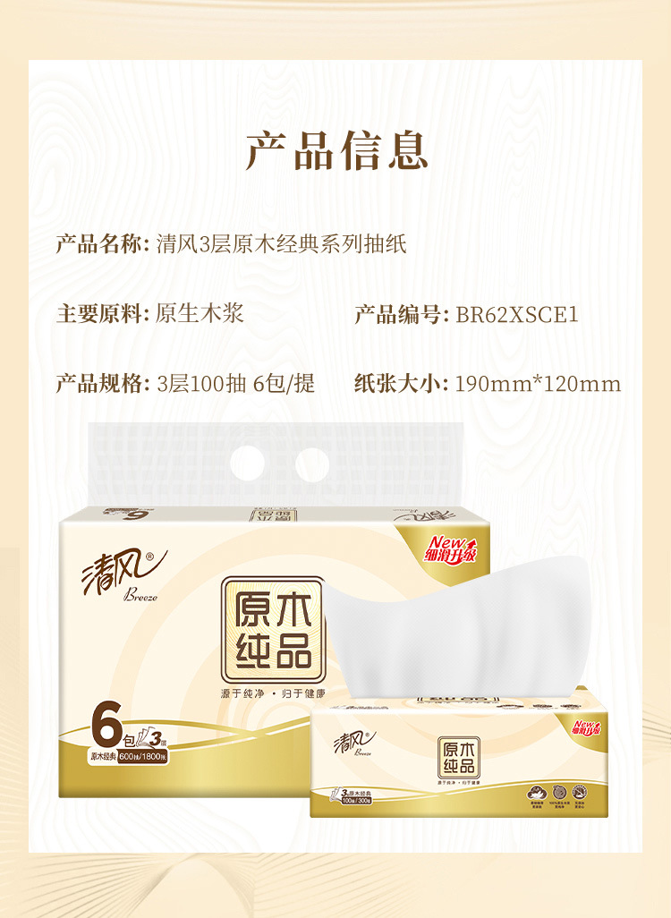 BR62XSCE2-提-文描_08