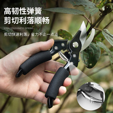 ������֦�����P�ʡ���@���辰�@ˇ��֦���������๦����֦�����l