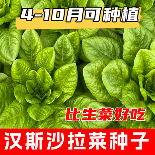 ɳ���˷N��  �h˹ɳ�����~������С����׹����׷Nֲ�߮a�߲˷N��