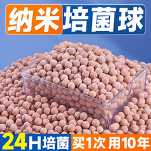 �п�ʯӢ��V���~���^�V���ϼ���������������^�VͰ����ʯˮ����