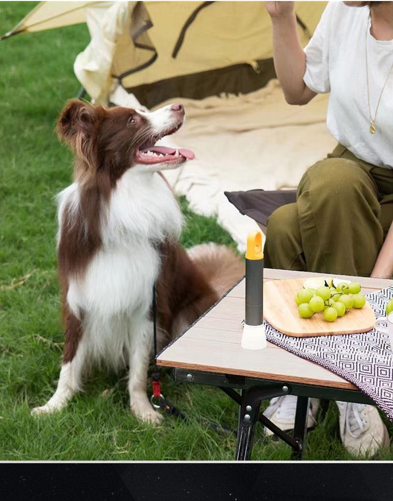 963623DD2EE75224EF6819CE157A2C