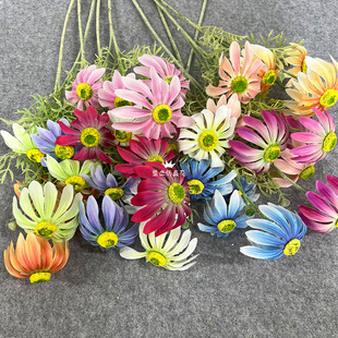 �߶�ֲ�q4�^̫ꖾշ��滨��˹�ռٻ���Y���ò廨�b�؈�۾տ羳