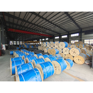 Chenxiang Steel Wire Rope for Rubber Conveyor Belt Specifications 7*19