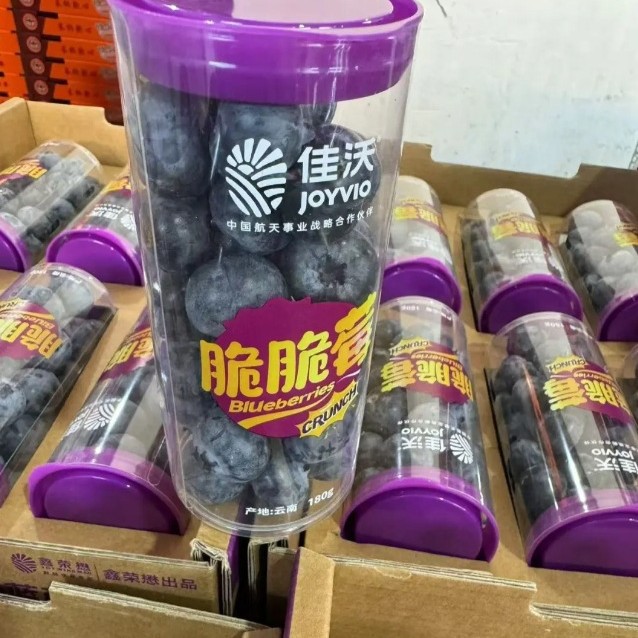 2025-03-12 14:56:22.jpg